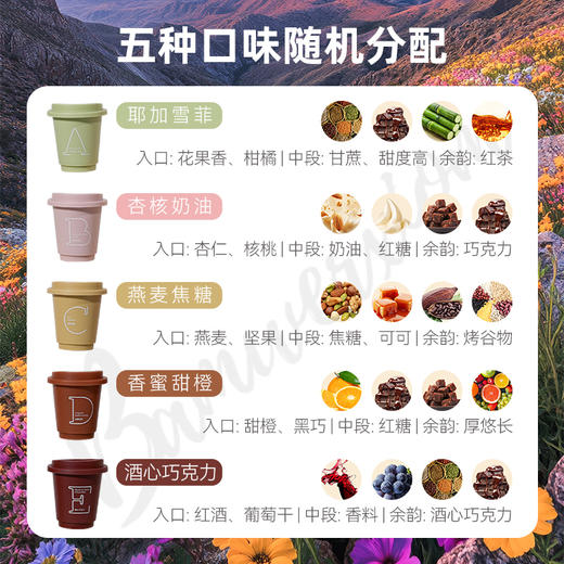 半尾熊丨冷萃冻干咖啡 一盒五种风味 26g（2.6g*10罐 ） 商品图2