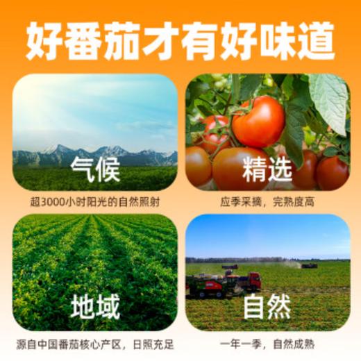 【秒杀】中粮屯河番茄丁390g/罐 商品图6