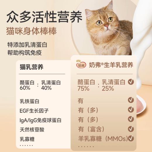 麦富迪奶弗猫罐头主食羊奶鲜肉猫咪零食成幼猫补充营养补水湿粮 商品图2