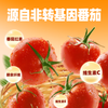 【秒杀】中粮屯河番茄丁390g/罐 商品缩略图3