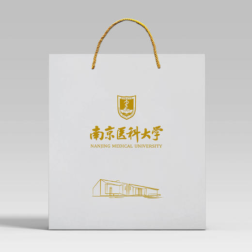 中号拎袋 商品图1