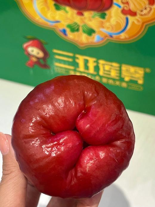 南麓一号莲雾 微笑果 海南空运 好好吃 商品图8