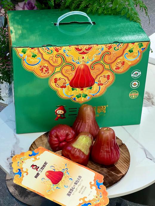 南麓一号莲雾 微笑果 海南空运 好好吃 商品图9