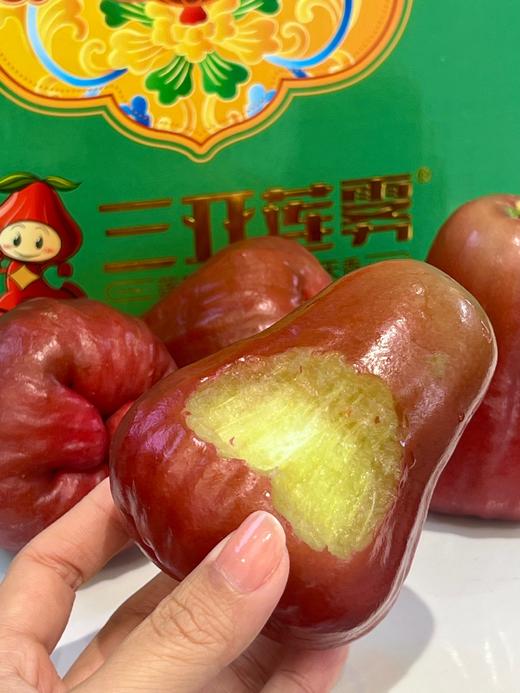 南麓一号莲雾 微笑果 海南空运 好好吃 商品图10