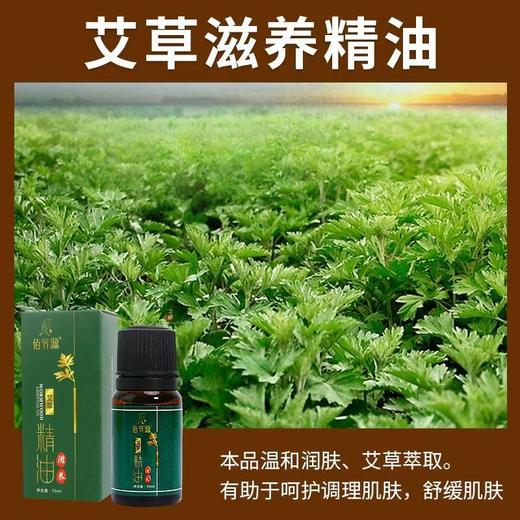 佰芳源艾草10ml按摩精油面部开背刮痧美容院专用小瓶精油 商品图1
