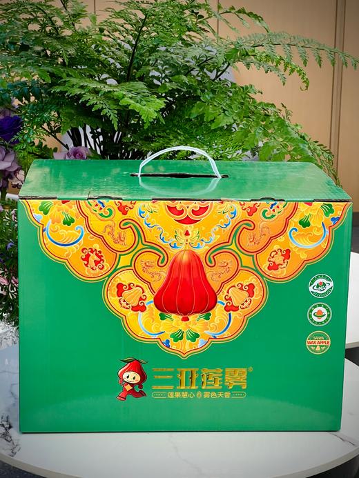 南麓一号莲雾 微笑果 海南空运 好好吃 商品图13