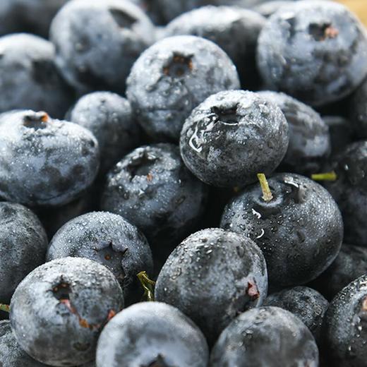 看得见的放心花香莓(蓝莓) 18mm+ 125g/盒 商品图3