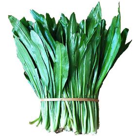 【生鲜预定】大香菜