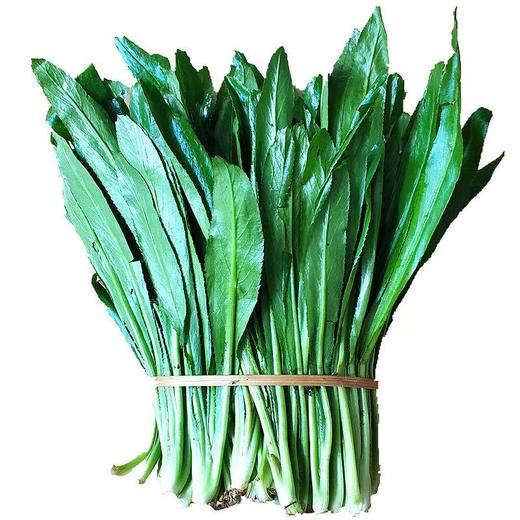 【生鲜预定】大香菜 商品图0