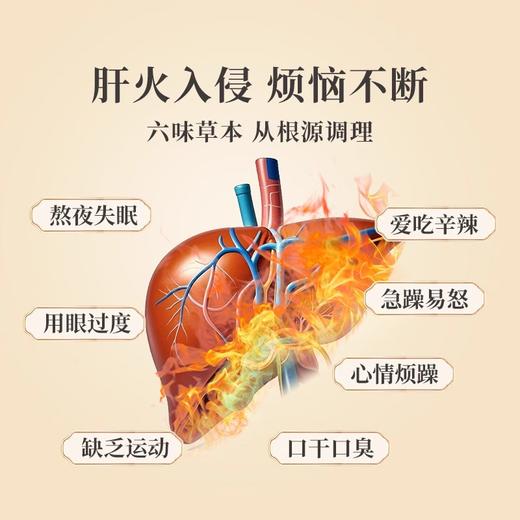 【鲜满日记】菊花清润茶（限时买2送1，到手3盒） 商品图1