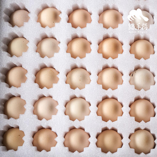生态芦花鸡鸡蛋（春季鸡蛋丰产优惠） | 合作生产 *Eco-egg | Partner Production 商品图4