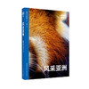 动物志·第二辑《亲密关系》《风采亚洲》《比人更聪明》《极致绚烂》纸上动物世界 万物有灵 生生不息  读库 商品缩略图2