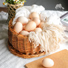 生态芦花鸡鸡蛋（春季鸡蛋丰产优惠） | 合作生产 *Eco-egg | Partner Production 商品缩略图3