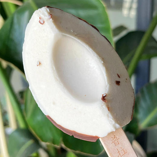 普拉拉四分之椰椰子雪糕50g/130212 用椰子还原椰子的雪糕 商品图1