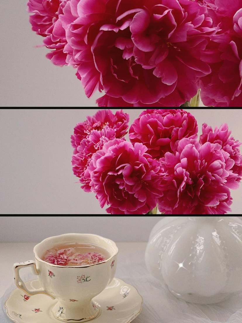 芍药 红绣球 a级10支