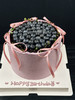 蓝莓森林 商品缩略图7