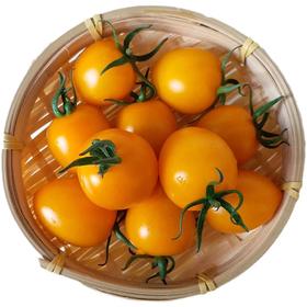 新鲜水果 芒果千禧 500g