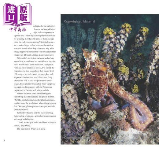 【中商原版】章鱼科学家 The Octopus Scientists 英文原版进口 儿童科普读物 自然科学探索知识 Scientists in the Field 商品图4