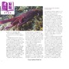 【中商原版】章鱼科学家 The Octopus Scientists 英文原版进口 儿童科普读物 自然科学探索知识 Scientists in the Field 商品缩略图3
