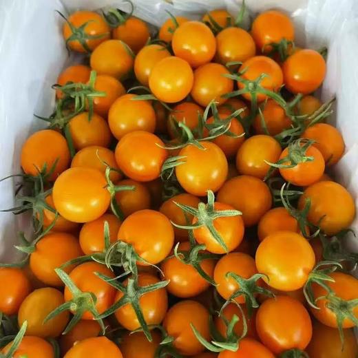 新鲜水果 芒果千禧 500g 商品图1