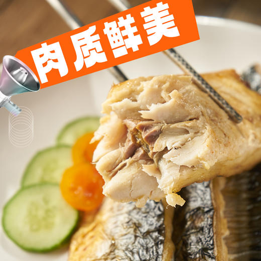 海大厨-炙烤青花鱼 商品图1