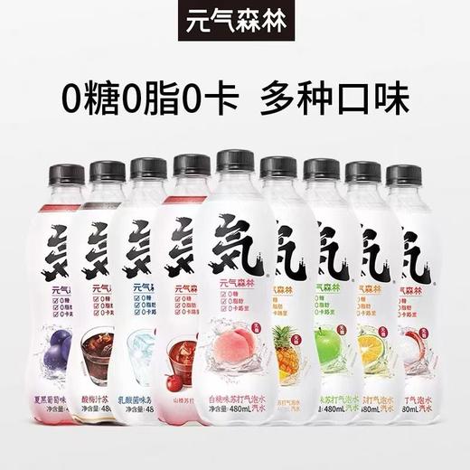 元气森林苏打气泡水0糖0脂0卡【口味随机】 商品图0
