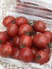 干热河谷露天有机小番茄，下单后72小时左右发货 商品缩略图1