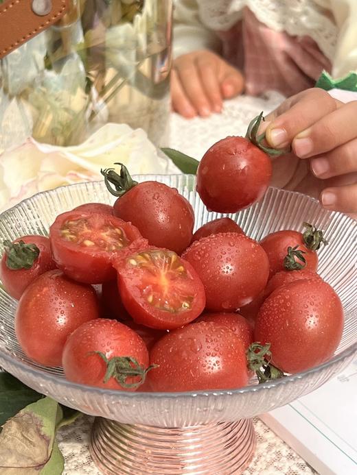 干热河谷露天有机小番茄，下单后72小时左右发货 商品图4