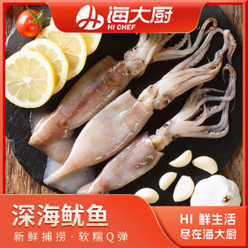 海大厨-深海鱿鱼（201.0946）