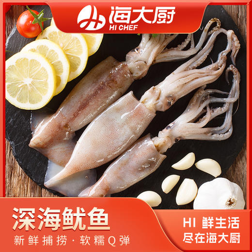 海大厨-深海鱿鱼（201.0946） 商品图0