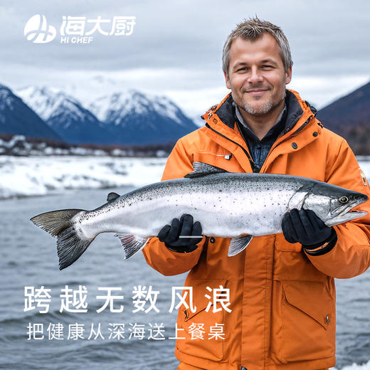 海大厨-三文鱼段 商品图1