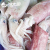 海大厨-深海鱿鱼（201.0946） 商品缩略图1
