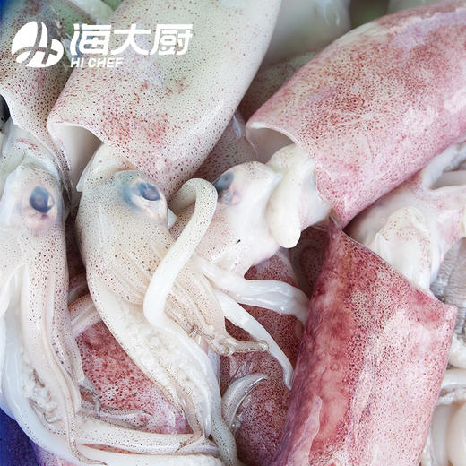 海大厨-深海鱿鱼（201.0946） 商品图1