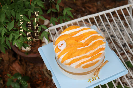 夏日芒芒·芒果酸奶蛋糕 商品图1