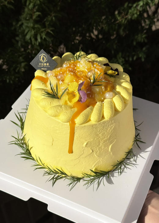 【斑斓凤梨】 商品图1