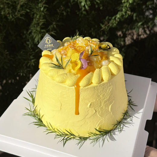 【斑斓凤梨】 商品图0