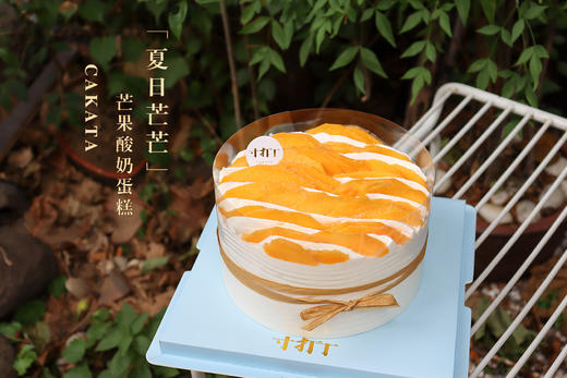 夏日芒芒·芒果酸奶蛋糕 商品图2
