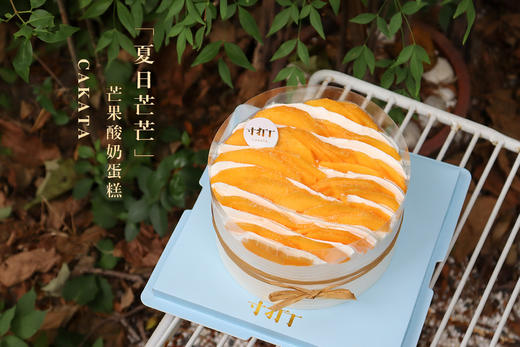 夏日芒芒·芒果酸奶蛋糕 商品图0