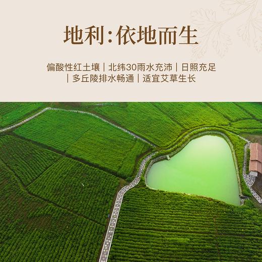 严选 | 五空·苍降蕲艾条 10支/筒 自然香韵 草本精华 传承古方 黄金配比 商品图3