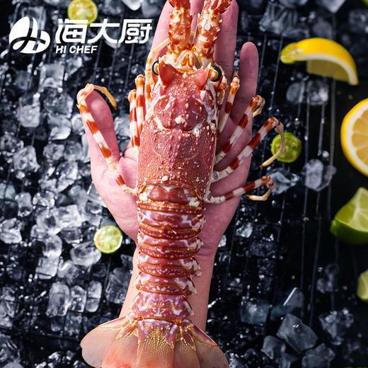 海大厨-玫瑰龙虾（为保证品质，限辽宁省内发货） 商品图1