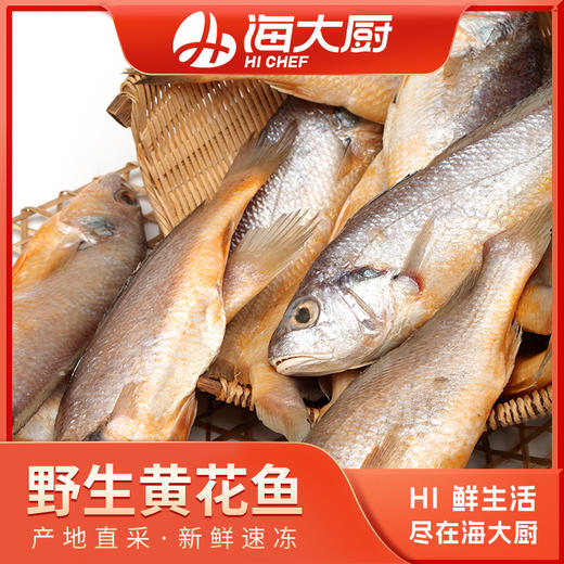 海大厨-野生精品黄花鱼450g（201.0470） 商品图0