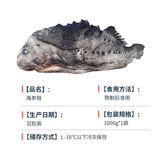 海大厨-海参斑 商品图4