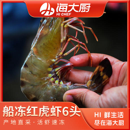 海大厨-船冻红虎虾6头（102.0087）（为保证品质，限辽宁省内发货） 商品图0