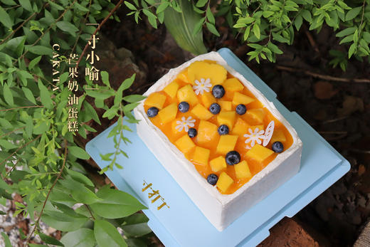 寸小喻·芒果奶油蛋糕丨（可备注少糖） 商品图0