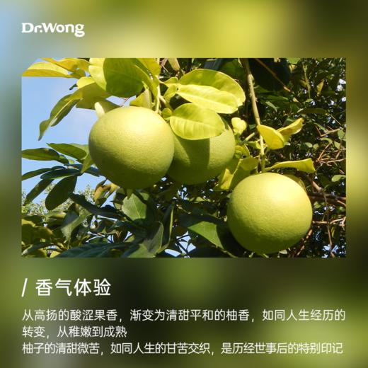 柚子 植物香薰精油 商品图1