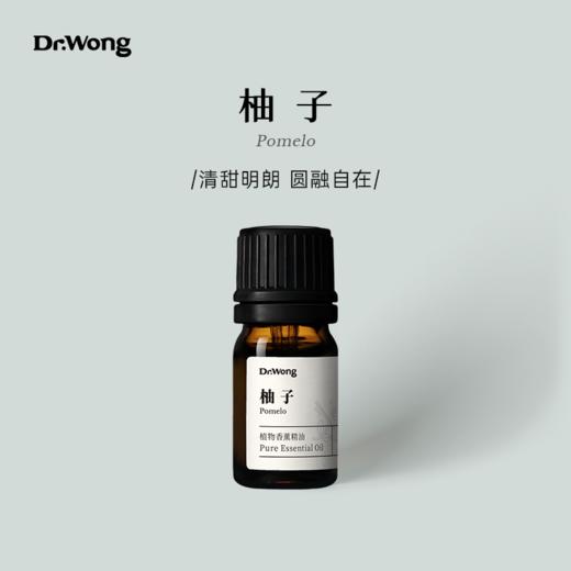 柚子 植物香薰精油 商品图0