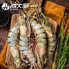 海大厨-甄选黑虎虾（为保证品质，限辽宁省内发货） 商品缩略图2