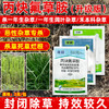 丙炔氟草胺大豆田一年生杂草封闭除草剂水花生牛筋草小飞蓬配药 商品缩略图3