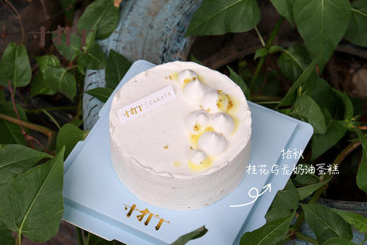 4英寸蛋糕·柔软丨浮云沁心（款式可选） 商品图12