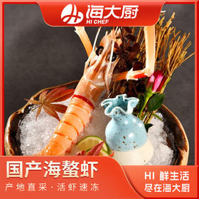 海鳌虾-国产